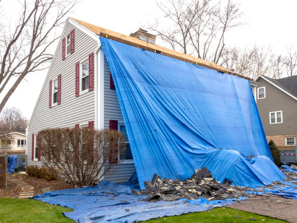 Best Fascia and Soffit Installation  in Westview, FL